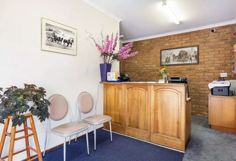 Motelli Rodney Motor Inn