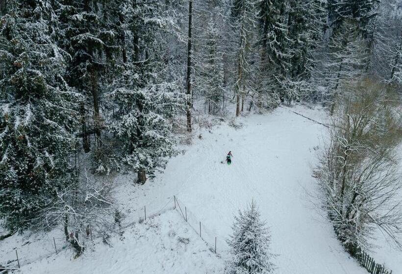 Пансион Cabana Raisa