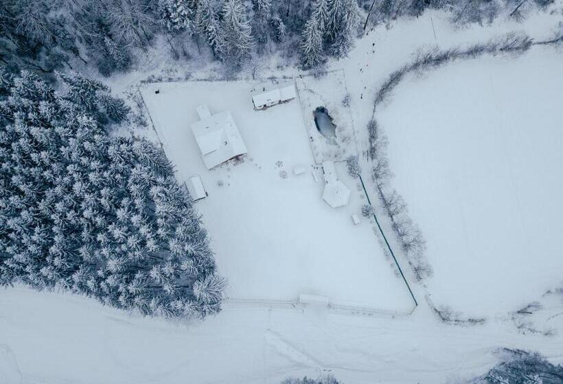 Пансион Cabana Raisa