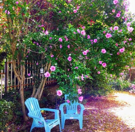 膳宿费 Casa Emilia