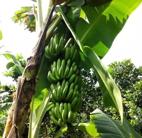 Majatalo Casa Emilia