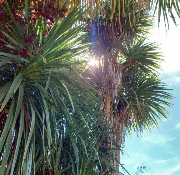 膳宿费 Casa Emilia