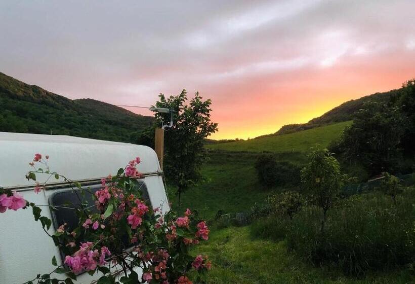 بنسيون Gîte Aurinko : Caravane Avec Bain Nordique