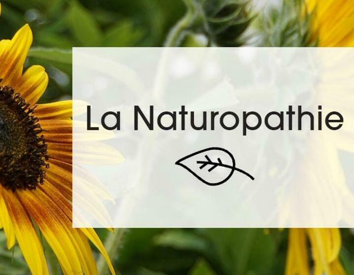 بنسيون La Maison Des Lys