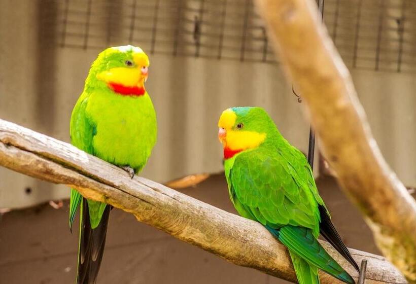 Wagin Cottage Garden Bed And Breakfast