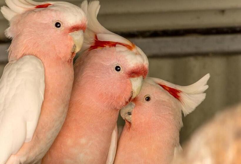 Wagin Cottage Garden Bed And Breakfast