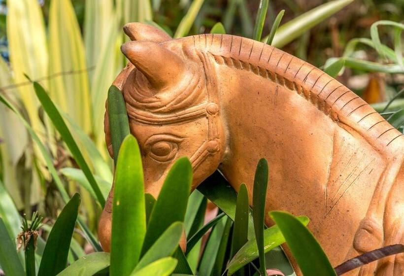 Wagin Cottage Garden Bed And Breakfast