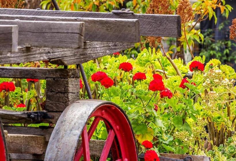 Wagin Cottage Garden Bed And Breakfast