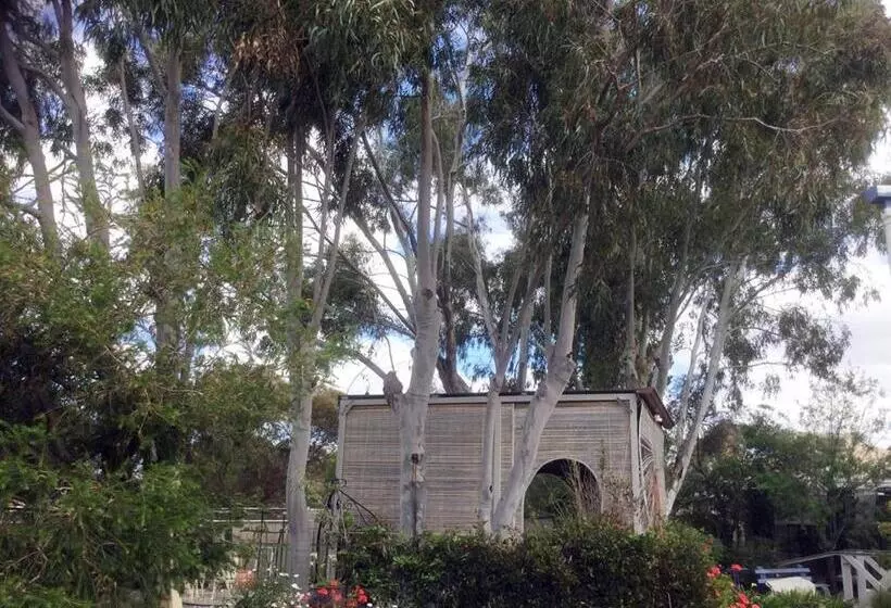 Wagin Cottage Garden Bed And Breakfast