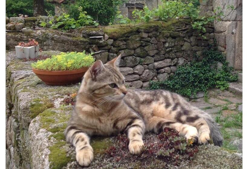 ベッドアンドブレックファースト A L Ombre Du Tilleul