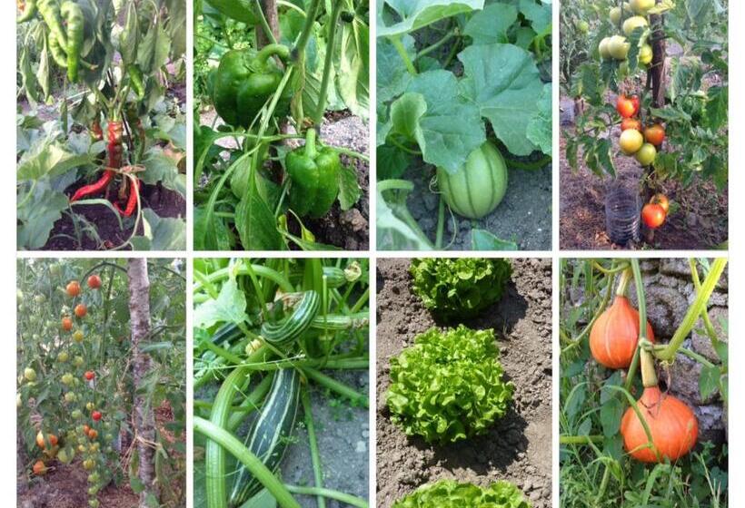 ベッドアンドブレックファースト A L Ombre Du Tilleul