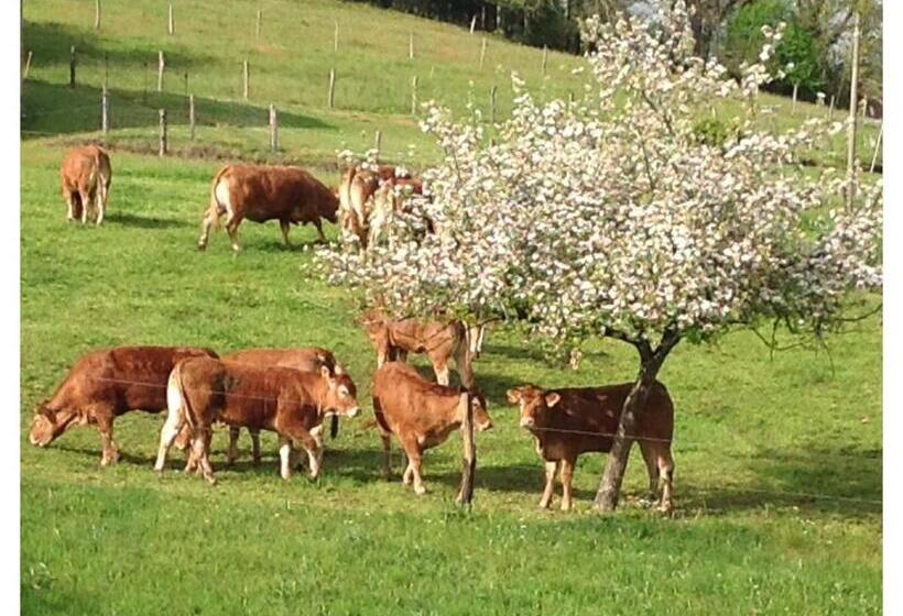 ベッドアンドブレックファースト A L Ombre Du Tilleul