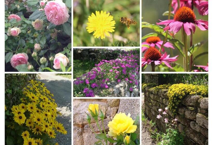 ベッドアンドブレックファースト A L Ombre Du Tilleul