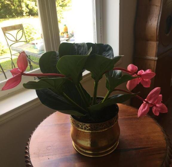 住宿加早餐  Au Charme Des Pommiers