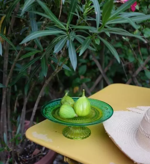 ベッドアンドブレックファースト Le Clos Du Ru