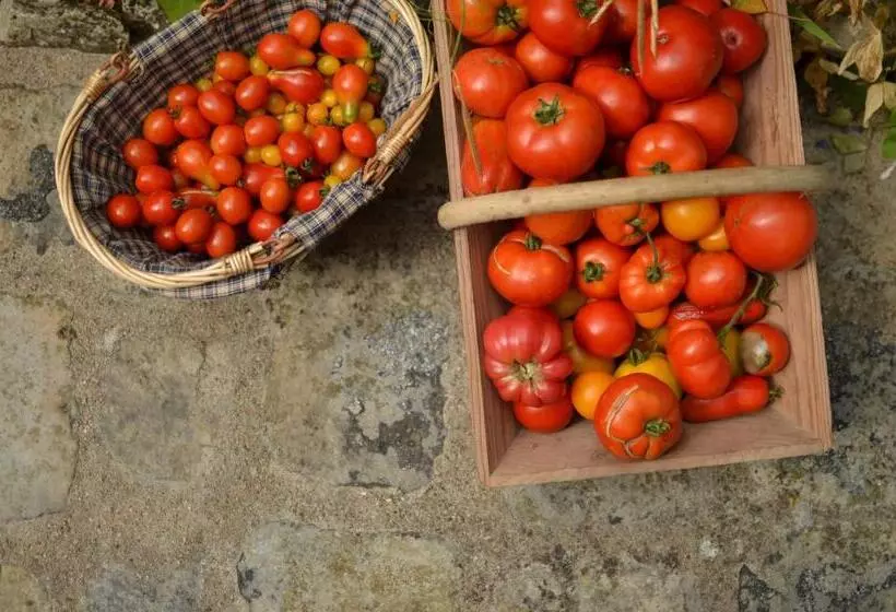 ベッドアンドブレックファースト Le Clos Du Ru