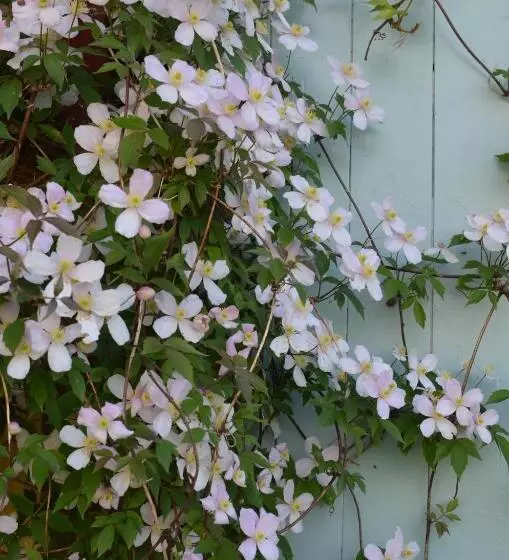 ベッドアンドブレックファースト Le Clos Du Ru