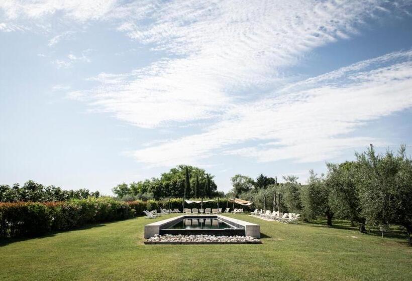 צימר Turchi Farm Locanda Della Luna & Antico Frantoio