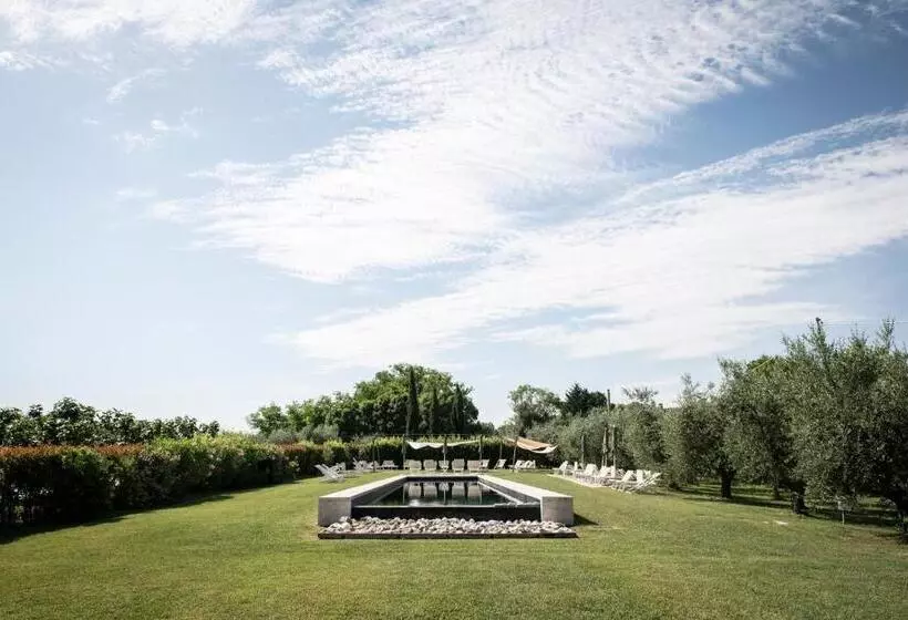 Aamiaismajoitus (B&B) Turchi Farm   Locanda Della Luna & Antico Frantoio