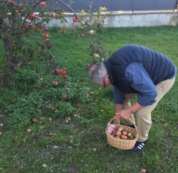 Aamiaismajoitus (B&B) Villa Dolne Saliby