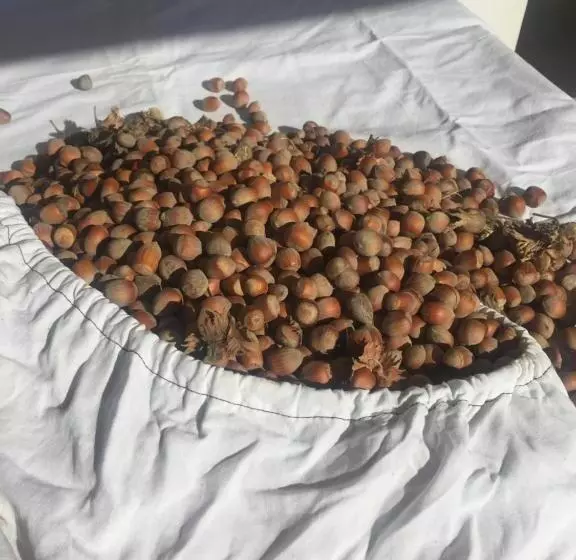 Aamiaismajoitus (B&B) Villa Dolne Saliby