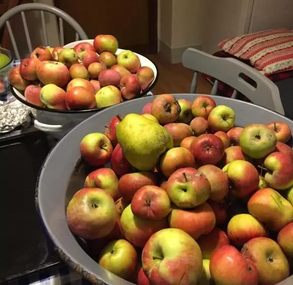 Aamiaismajoitus (B&B) Villa Dolne Saliby