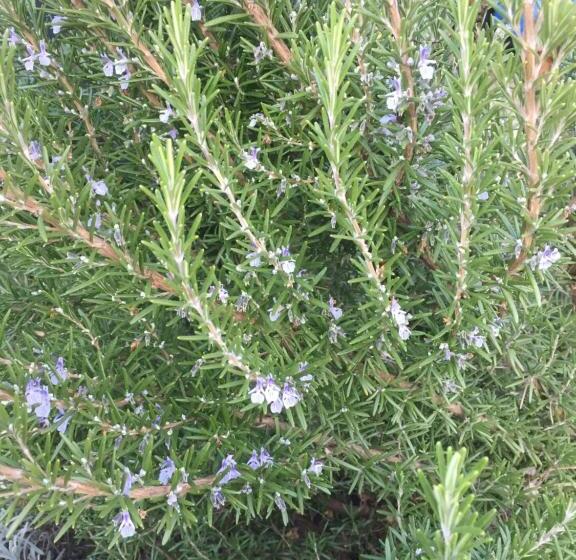 ベッドアンドブレックファースト Villa Dolne Saliby