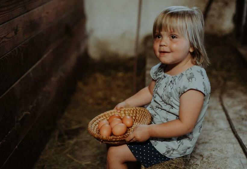 فندق Bauernhof Kamsker Stuber