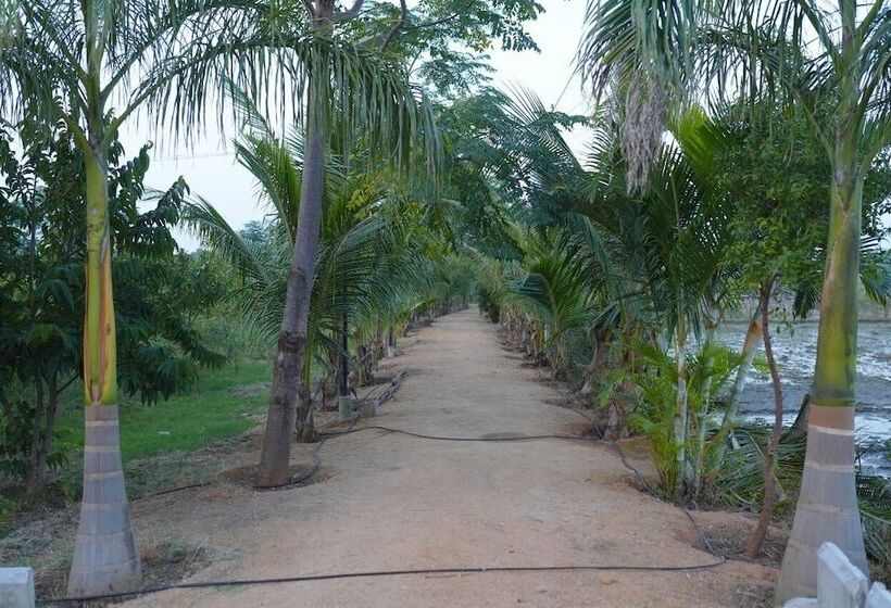 Отель Bliss Farm Stay Jasmine