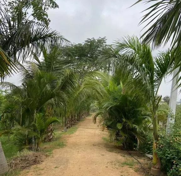 Hotelli Bliss Farm Stay  Jasmine