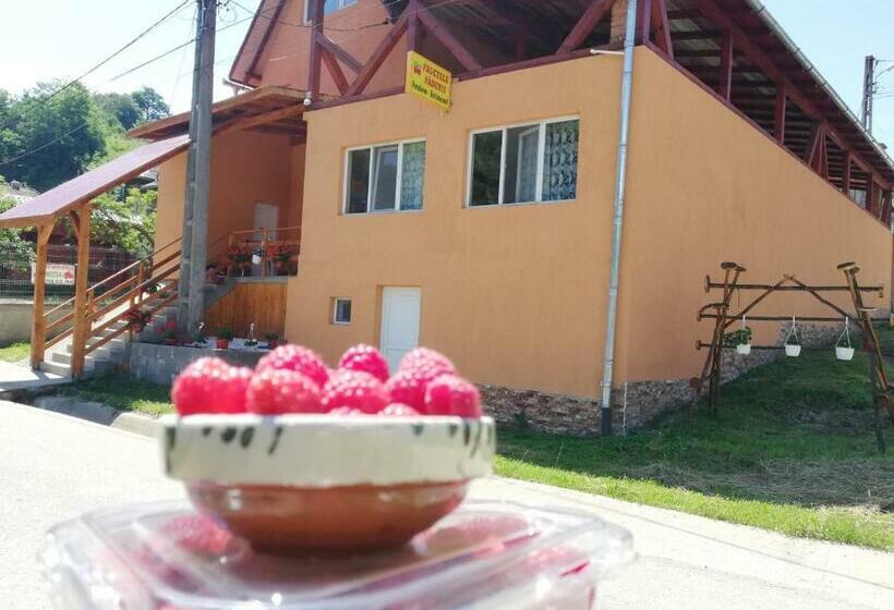 בית מלון כפרי Fructele Padurii