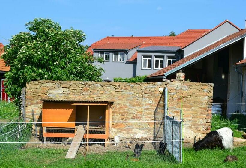 酒店 Statek U Koní Nemějice