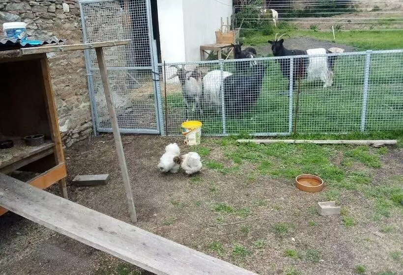 ホテル Statek U Koní Nemějice