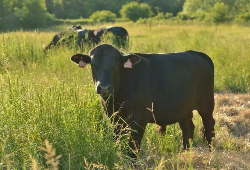 Majatalo Bio Farma & Penzión Zlatý Hýľ