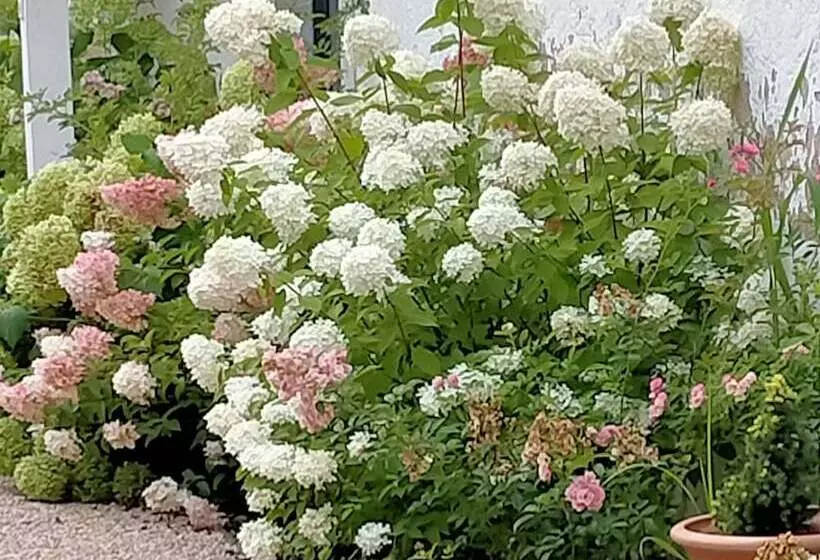 Majatalo Chateau De Heaas