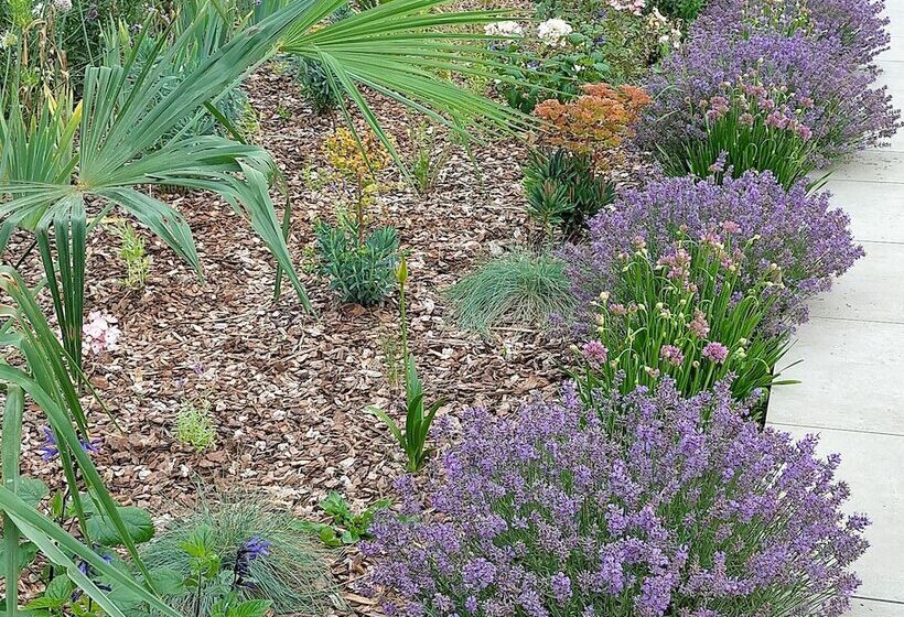 Пансион Chateau De Heaas