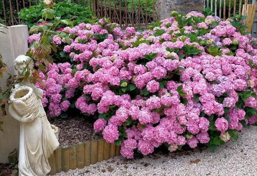 Majatalo Chateau De Heaas