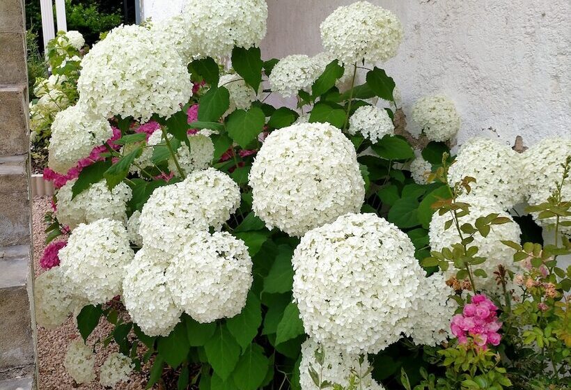 Пансион Chateau De Heaas