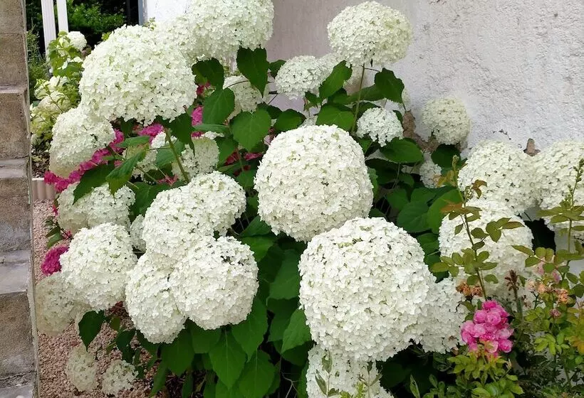 Majatalo Chateau De Heaas