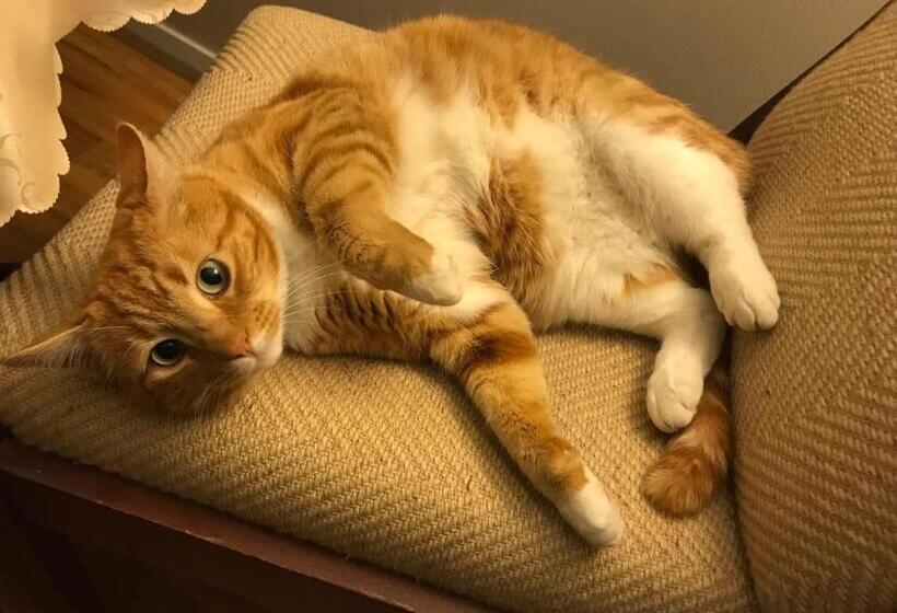 Pensió Cockburn Retreat Home 柏斯悠閒民宿