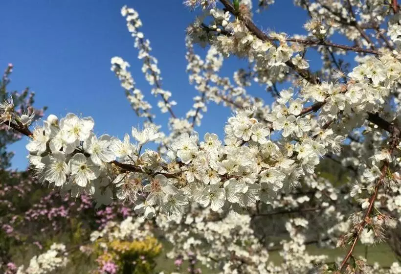 ペンション Cockburn Retreat Home 柏斯悠閒民宿