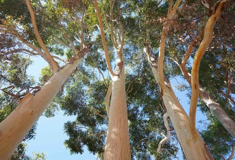 Pensió Cockburn Retreat Home 柏斯悠閒民宿