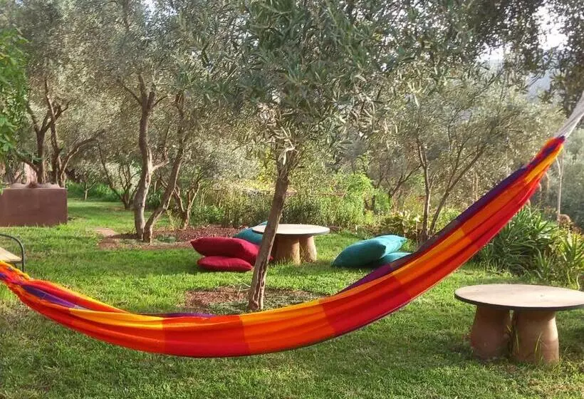 Majatalo Ourika Timalizène Le Jardin Des Délices
