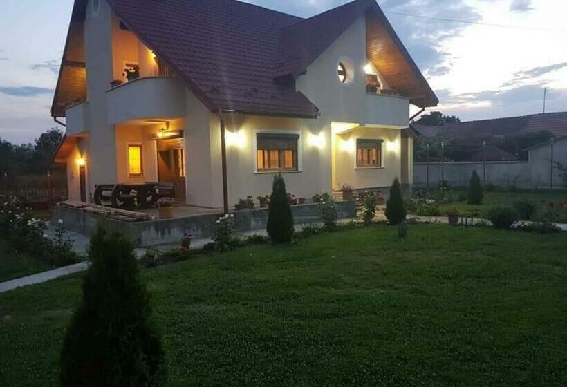 بنسيون Vila Grecu