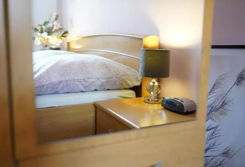 Aamiaismajoitus (B&B) Quartier Goldener Löwe