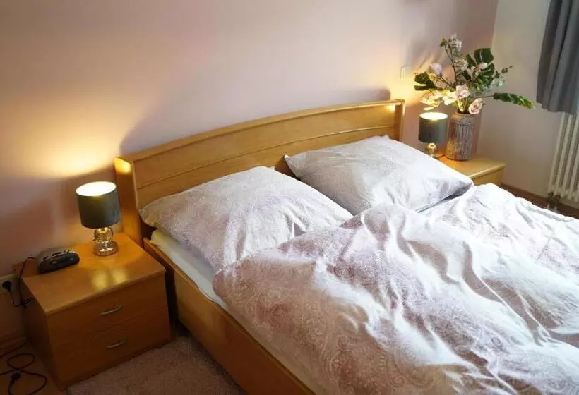 Aamiaismajoitus (B&B) Quartier Goldener Löwe