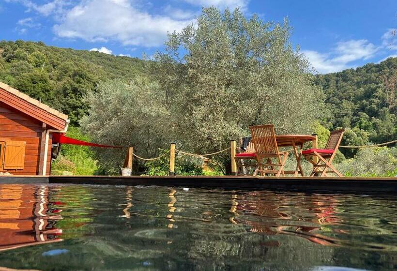 住宿加早餐  U Mo Sognu