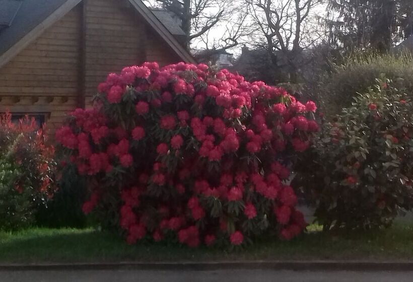 ベッドアンドブレックファースト Villa Le Nid Breton