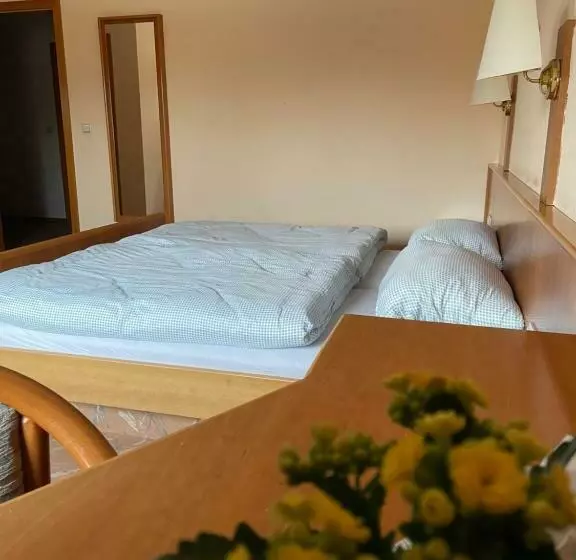 Hotelli Gasthaus Neue Mühle