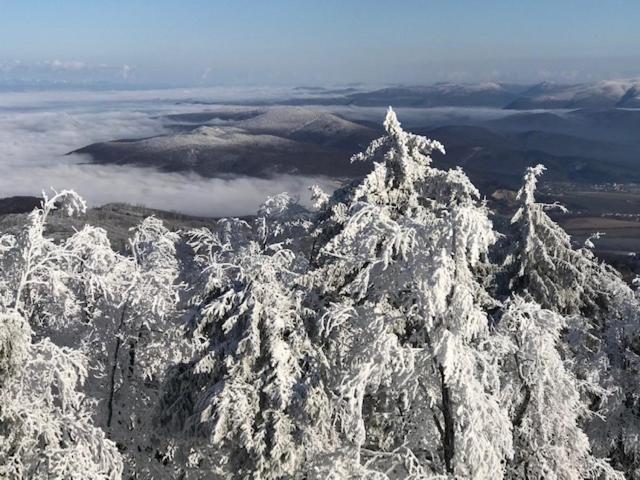 فندق Inovecká Chata